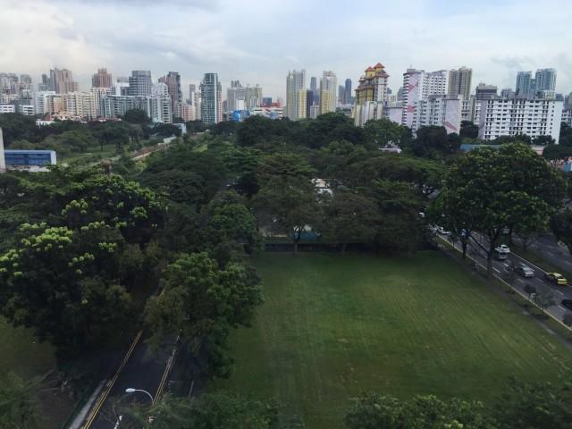 Tanglin View (D3), Condominium #131529092
